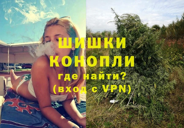 сатива Краснотурьинск