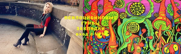 сатива Краснотурьинск