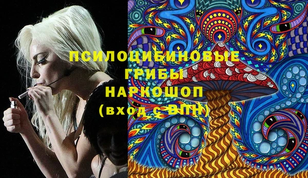герыч Переславль-Залесский